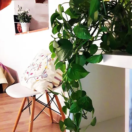 Bolseria Centricos En El Carmen Apartamento Valencia