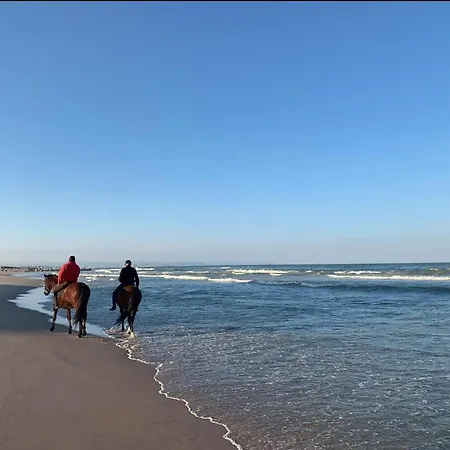 Retreat Lägenhet Valencia