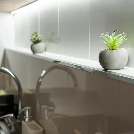 Vlc Host - Ausias March 瓦伦西亚