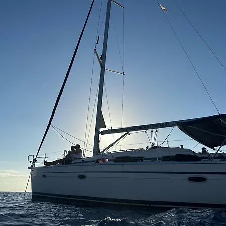 Velero En Puerto De 船屋 *