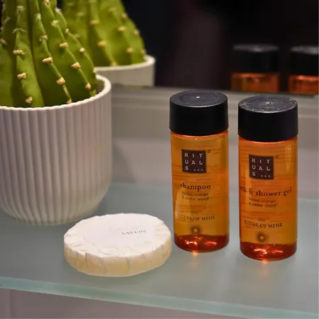 Original Domino House 4* Valensiya