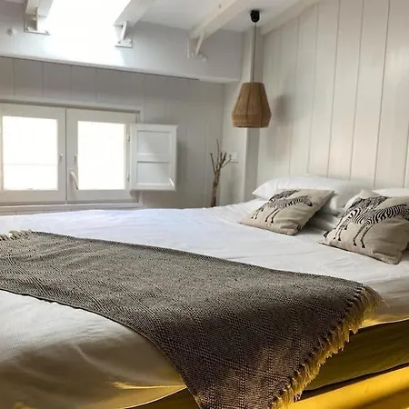 Apartment Estudio Cama King Valencia