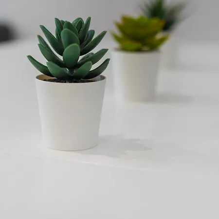 Panzió Vlc Host- Fray Pedro 3*