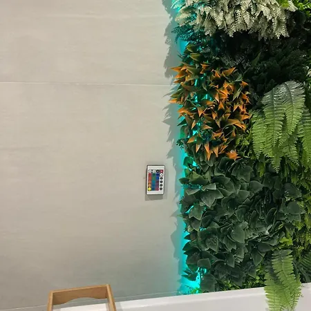 Amplio Estudio En Valencia *