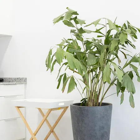 New Flats 2 Apartment *