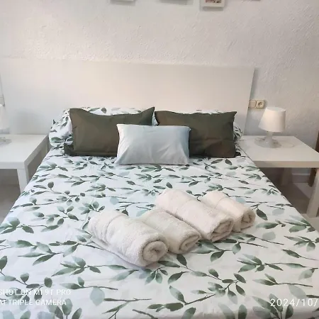 Bonito Around The Center