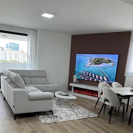 Luxury Apartment