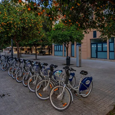 Vlc Yako Appartement