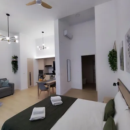 Rio Turia Pingueino Валенсия