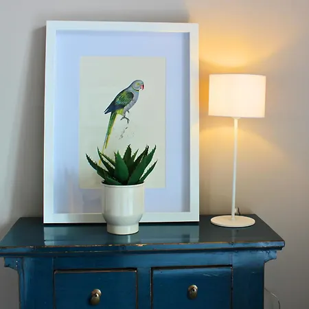 Apartamento Goya *