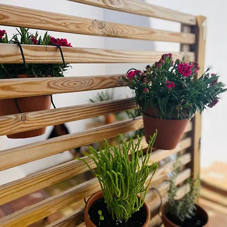 Apartament Casa Valenciana Con Terraza *