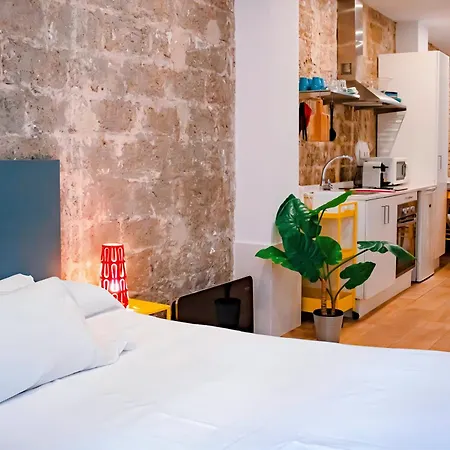 Loft Independiente Con Piscina Compartida En Centro De Valencia
