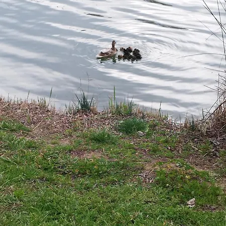 Appartamento Magnificas Vistas *