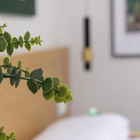 公寓 Osito Hub - Duque De Gaeta *