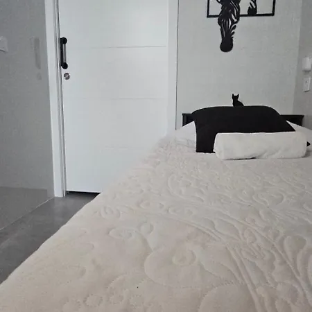 A7 Viviendaturisticavalencia Arte Apartman Valencia