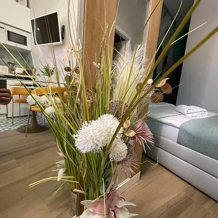 Lounge Garden Sea Mint Fresh * ולנסיה