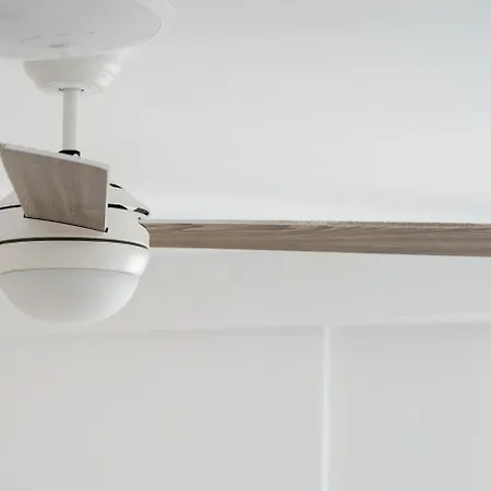 Ciudad De Ciencias Con Terraza * Valencia