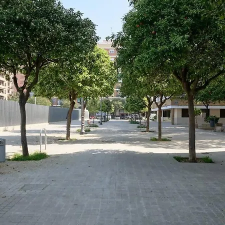 Romantic Roig Arena N2 Virkin *