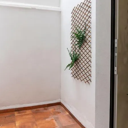 Vlc Host - Alfaro A Valencia