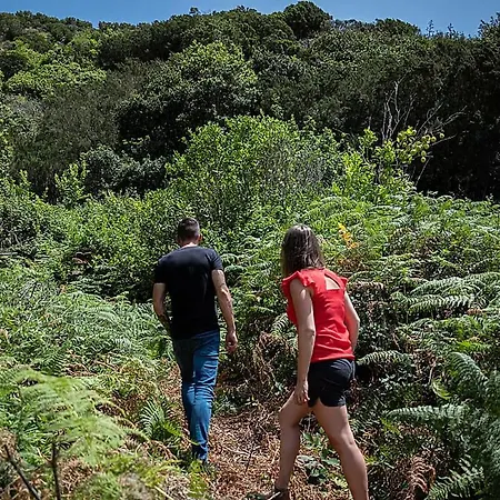 ヴィラ Montevistas Retreat- Cycling, Hiking, Relaxation, 25 Minutes バレンシア