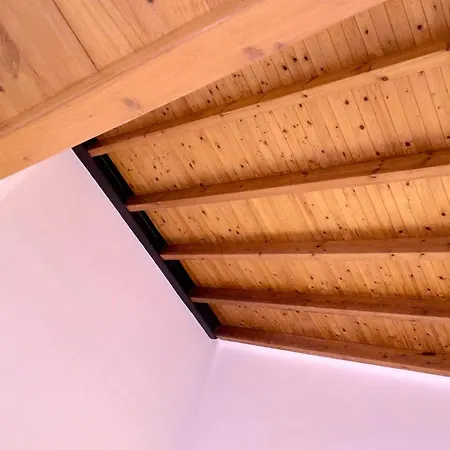 Loft Elegante Con Techos Altos En Plaza Del Carmen Apartment