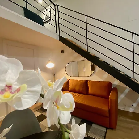 Duplex Of Arts & Science Apartment