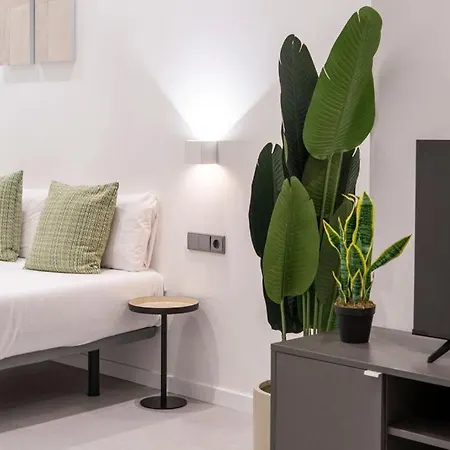 Vlc Host - Bellvis *