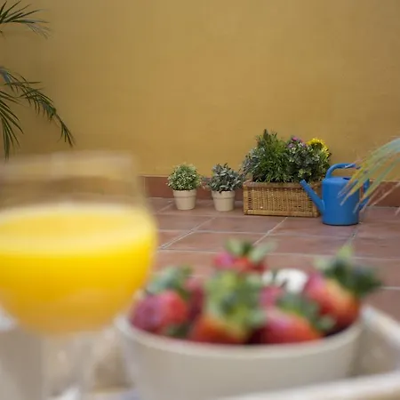 호스텔 Singularstays Botanico 29 *
