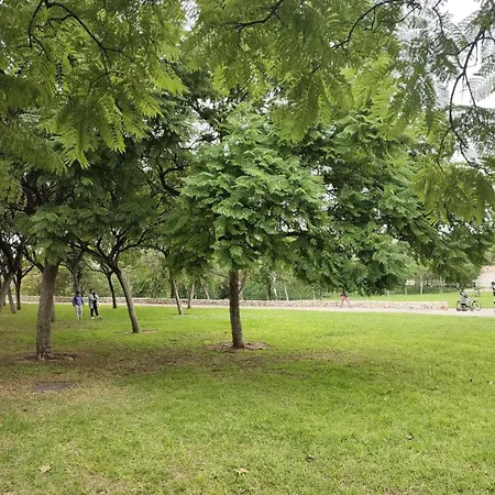 Plaza Sainetero 公寓 瓦伦西亚