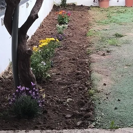 Townhouse With Pool Next To The Of Arts * Walencja