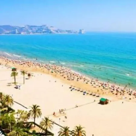 Lovely In A Shared Flat 300 Meters From The With Free Parking Homestay Valencia
