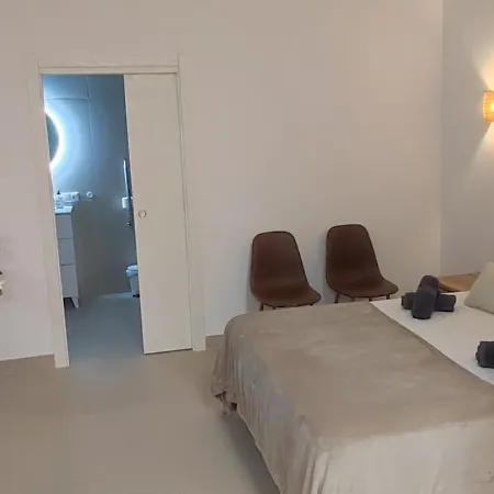 Basset 1 * Valensiya