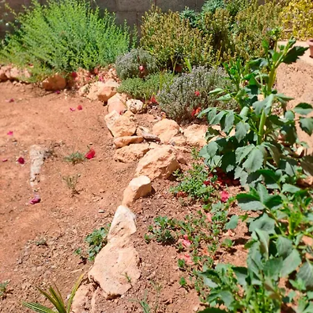 Semesterbostad Buganvilla Valencia