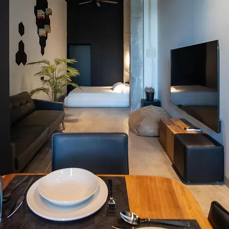 Crudo Un Loft Centrico De 50 M2 Appartement