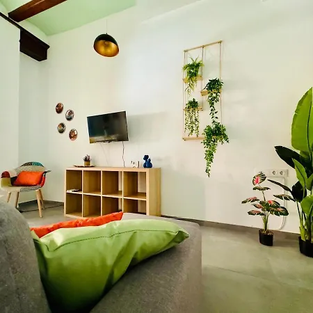 Mediterranean Flat Next To The Historic Center *