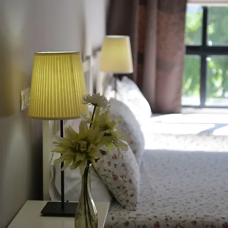 Md Modern - Jardines Walencja