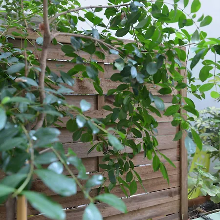 Hotel Md Modern - Jardines