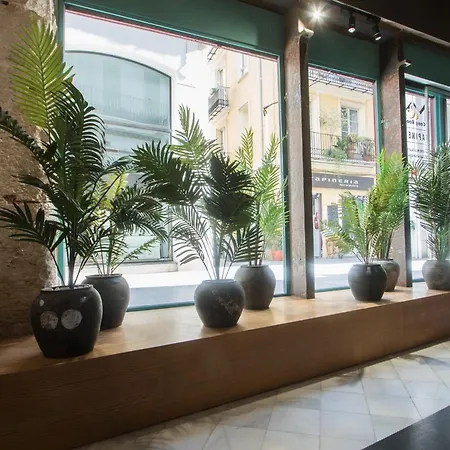 Cosy Tapineria 2* Valencie