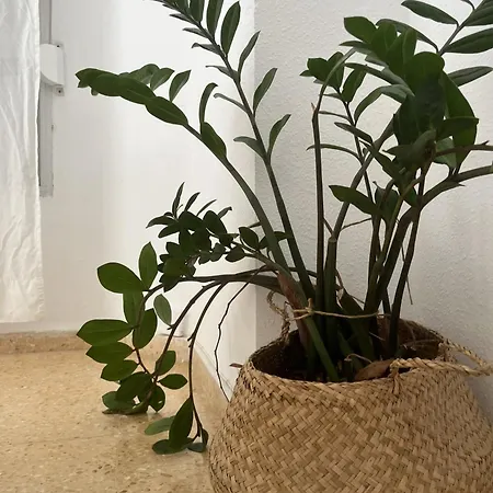 Blayet 게스트하우스 발렌시아