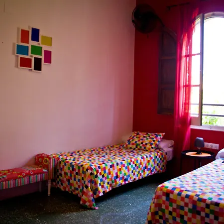 Auberge de jeunesse Feetup Backpackers