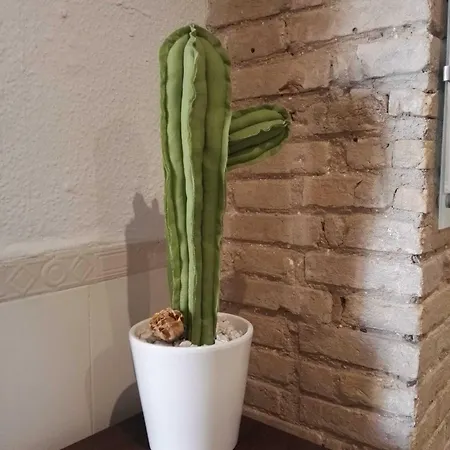 Balcon Al Mar Valencia