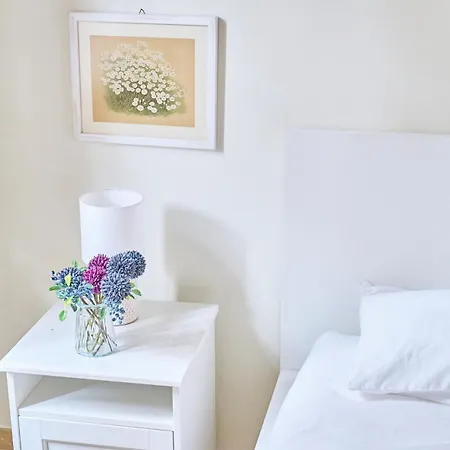 Appartement Splendid In Valence