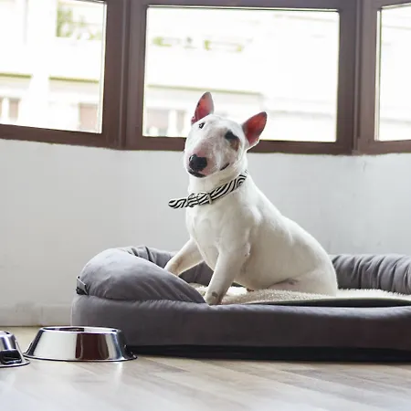 Casual Socarrat - Adults Only 3*