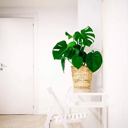 El Mercat Bed & Breakfast 3*