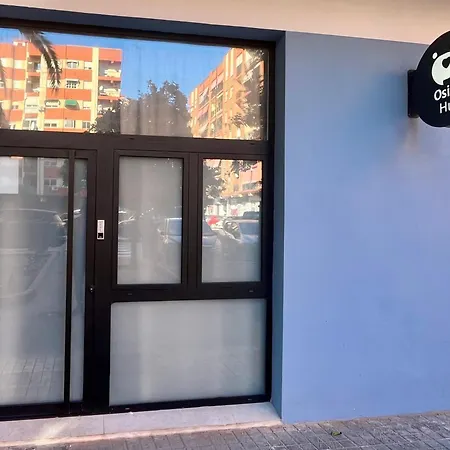 Daire Osito Hub - Campoamor