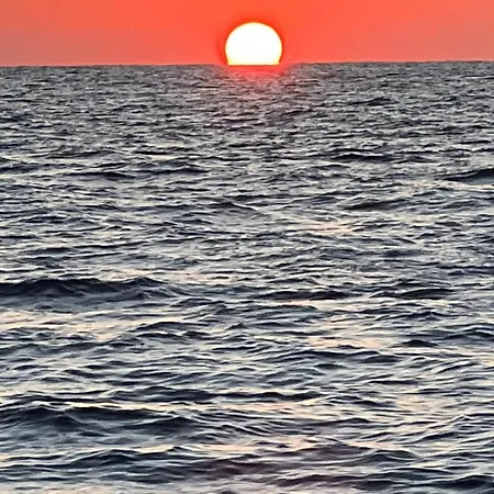 Unique Experience In Sailboat! In The 4 Seasons!! B Shi