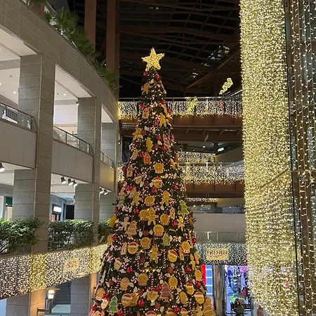 Unique Experience In Sailboat! In The 4 Seasons!! B Shi