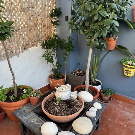 The Terrace Valencia