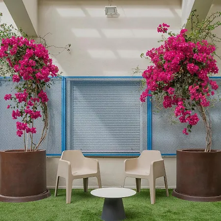 Hostal Colegio Mayor La Concepción Valencia