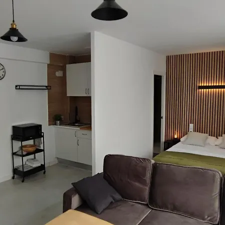 Apartament En La Ciudad De Artes Y Ciencias *